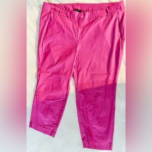 Lane Bryant Hot Pink Women's Pants